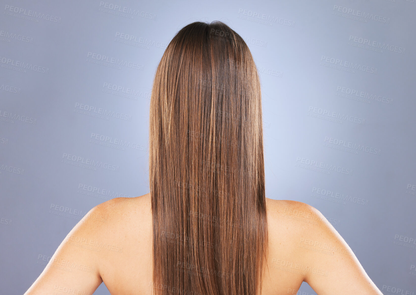 Buy stock photo Woman, beauty and hair in studio for texture, growth and healthy shine on blue background. Aesthetic female model back for haircare, self care and cosmetic results for salon or hairdresser treatment