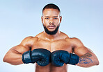 Gloves, boxing and portrait of a serious black man isolated on a blue background in studio. Ready, fitness and an African boxer looking focused for training, cardio challenge or a fight on a backdrop