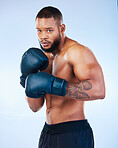 Boxer man, training and studio portrait for wellness, fight and focus for competition by blue background. Young boxing athlete, strong body or gloves for safety, fist and performance in sport workout