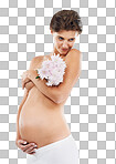 Pregnancy, abdomen and woman with flowers for motherhood on an isolated and transparent png background. Smile, stomach and pregnant with a bouquet of Deutzia for love of a child