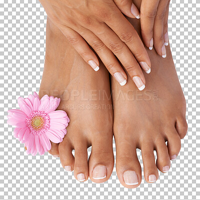 Beauty, hands and feet with manicure and pedicure, flower in spa treatment zoom with woman nails and healthy skin. Natural cosmetics with organic skincare, nature and cosmetic care with wellness isolated on a png background