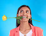 Thinking, rose and valentines day with a woman on a blue background in studio for love or romance. Idea, yellow flower and romantic with an attractive young female carrying a plant in her mouth