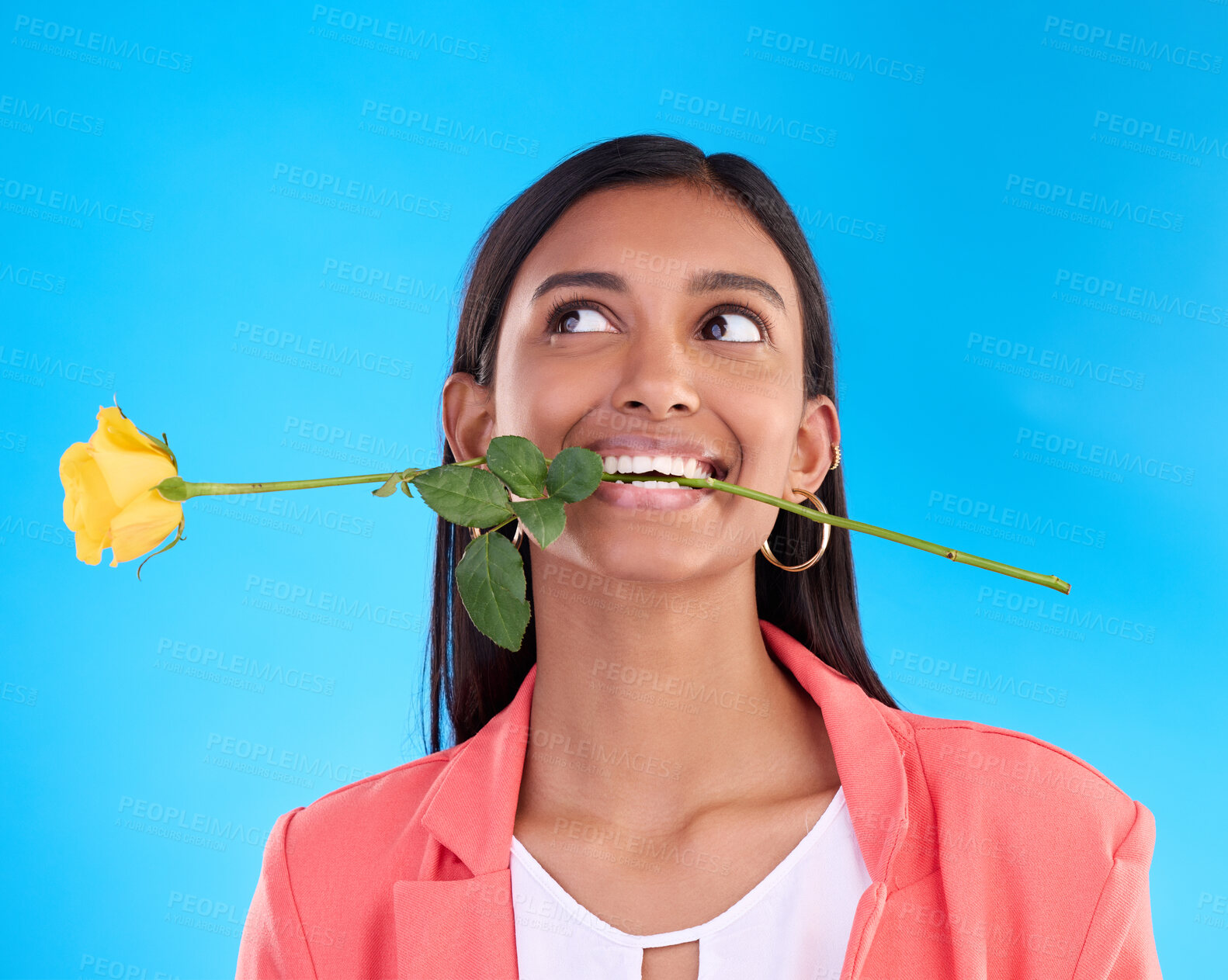 Buy stock photo Thinking, rose and valentines day with a woman on a blue background in studio for love or romance. Idea, yellow flower and romantic with an attractive young female carrying a plant in her mouth