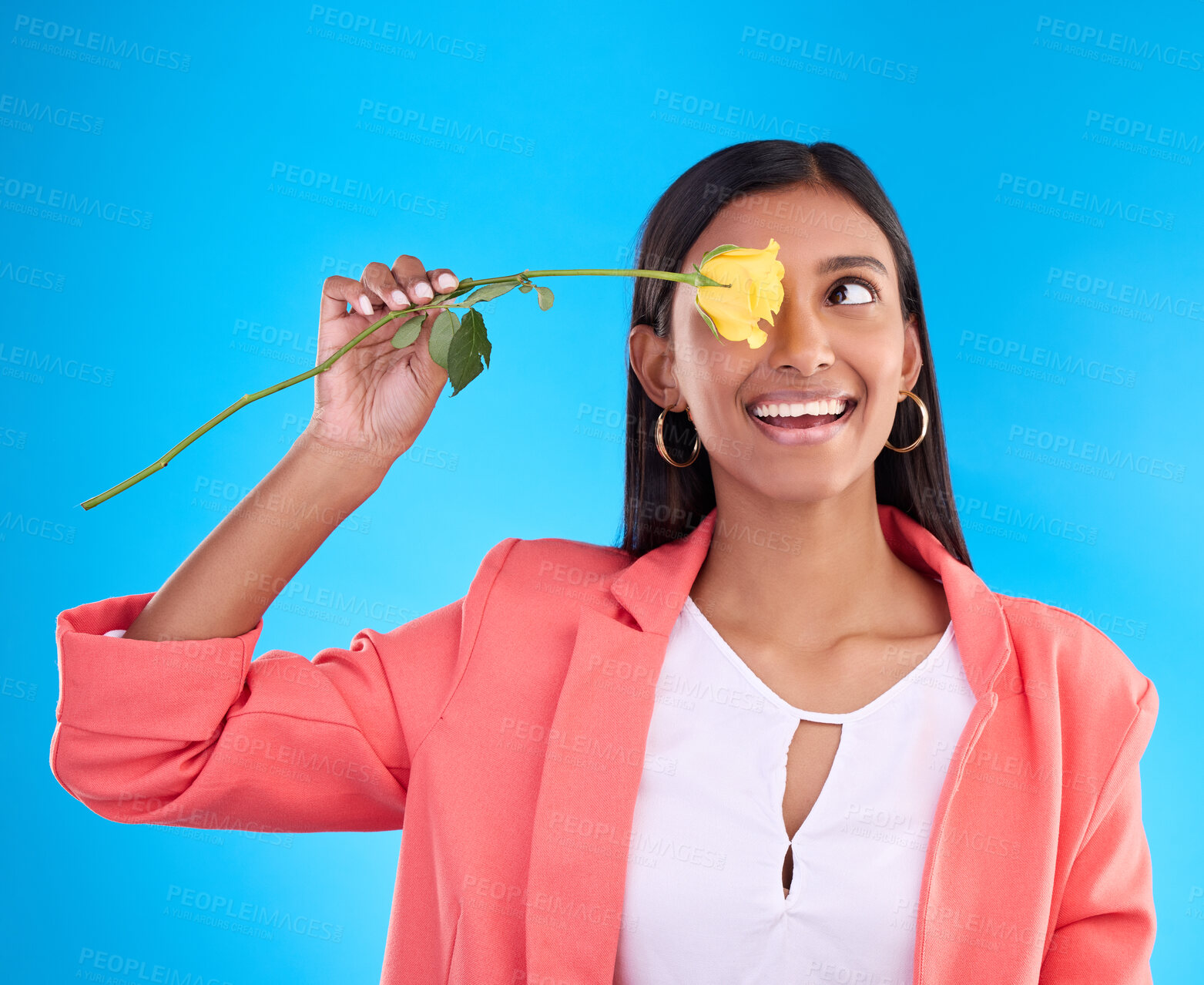 Buy stock photo Rose, love and valentines day with a woman on a blue background in studio thinking about romance. Spring, gift and yellow flower with an attractive young female holding a plant for summer or growth