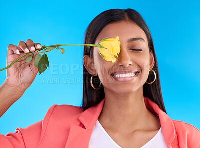 Buy stock photo Happy, smile and woman with a flower in studio for a floral gift for valentines day or anniversary. Happiness, excited and Indian female model with yellow rose as present isolated by blue background.