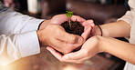 Plant in people or partner hands for business growth, eco friendly development and sustainability in green startup. Woman and man palm, teamwork and sapling soil and sustainable investment or support