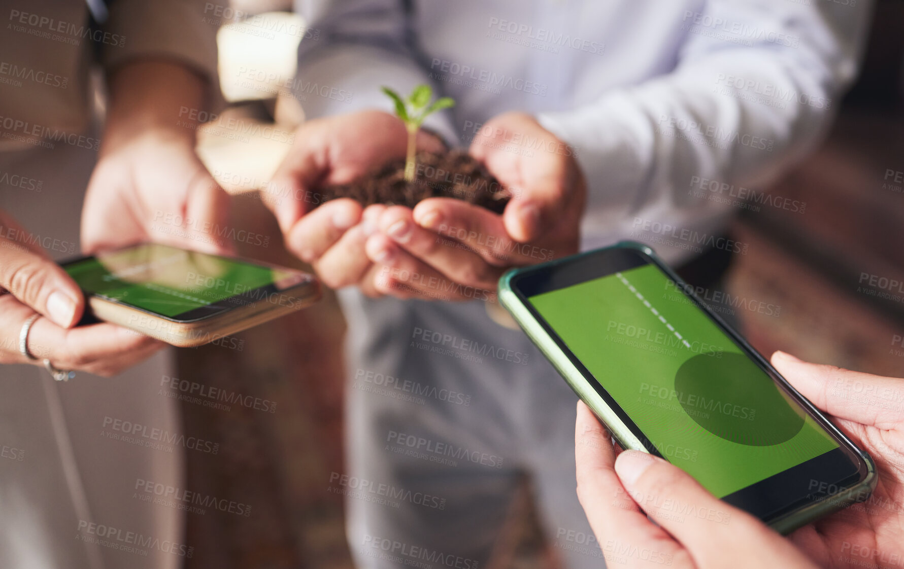 Buy stock photo Phone, business growth and hands with green plant for sustainable mobile app, website or project startup. People, soil in palm and screen for contact us in eco friendly and sustainability investment