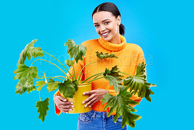 Buy stock photo Portrait of happy woman in studio with plant, smile and happiness with house plants on blue background. Gardening, sustainable and green hobby for gen z girl on mockup for eco friendly garden shop.