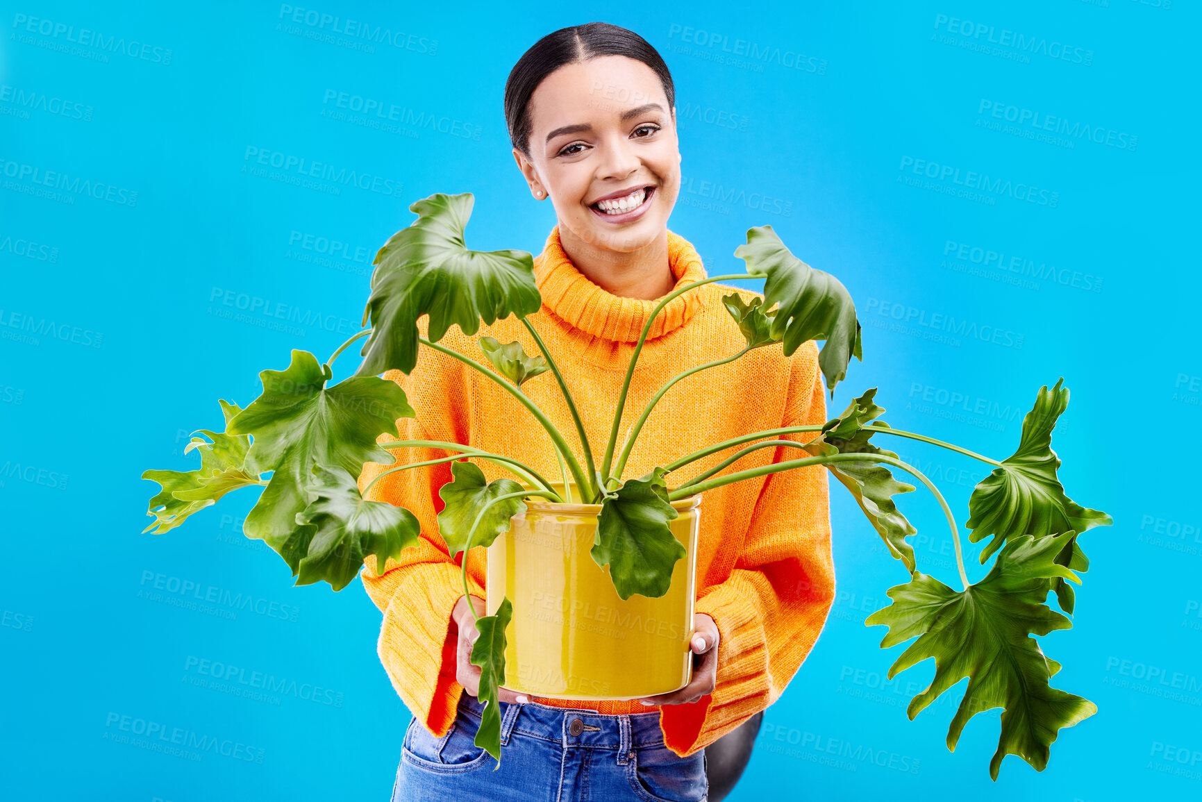 Buy stock photo Portrait of woman in studio with house plant, smile or happiness for plants on blue background. Gardening, sustainable or green hobby for happy gen z girl on mockup space or eco friendly garden shop.