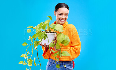 Buy stock photo Portrait of woman in studio with plant, smile and happiness with house plants on blue background. Gardening, sustainable green hobby and happy gen z girl in mockup space for eco friendly garden shop.