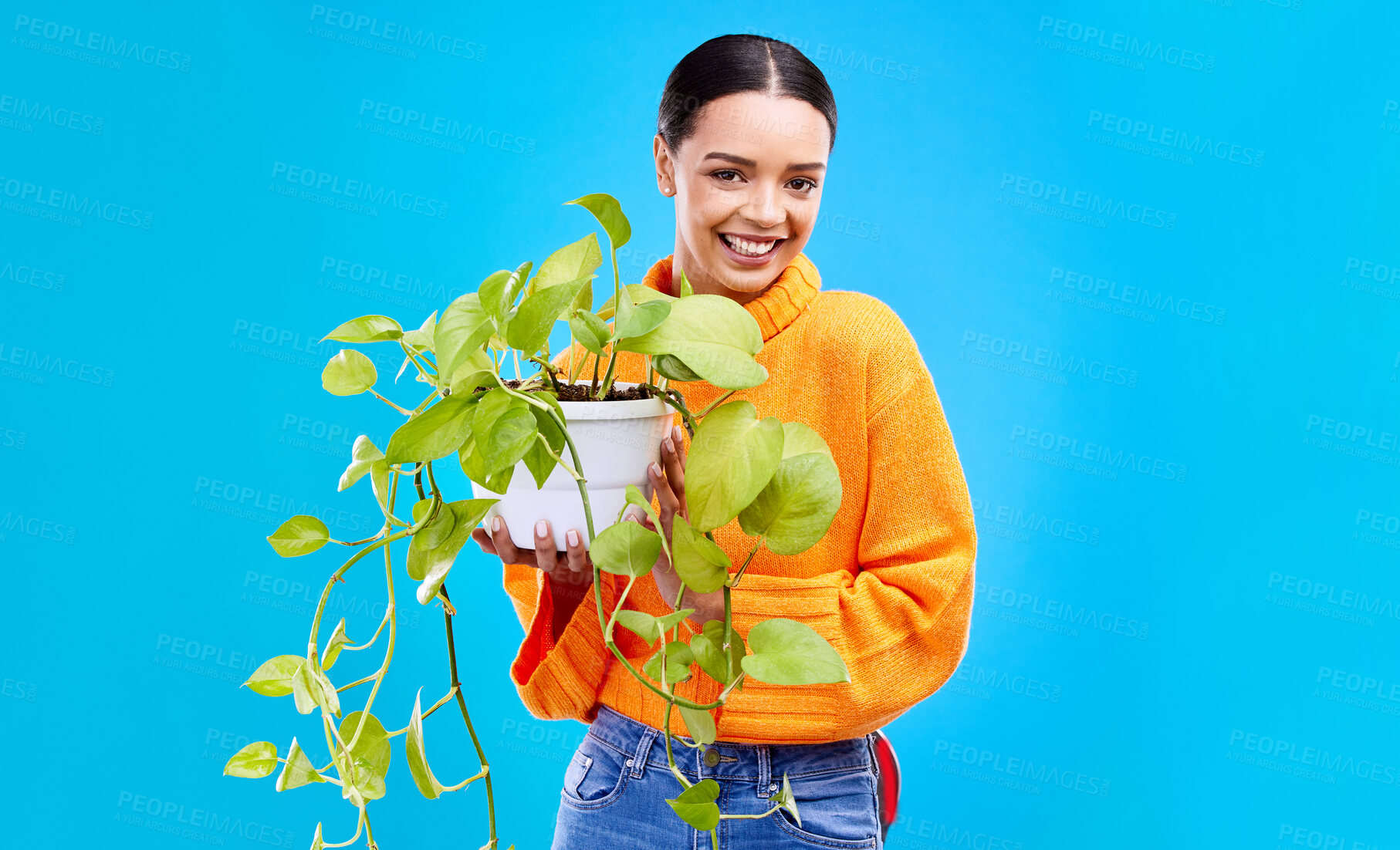 Buy stock photo Portrait of woman in studio with plant, smile and happiness with house plants on blue background. Gardening, sustainable green hobby and happy gen z girl in mockup space for eco friendly garden shop.