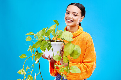 Buy stock photo Portrait of woman on blue background with plant, smile and happiness with house plants in studio. Gardening, sustainable and green hobby for happy gen z girl on mockup for eco friendly garden shop.