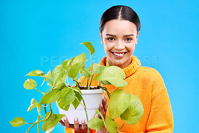 Buy stock photo Portrait of woman with green plant, smile and happiness for house plants on blue background. Gardening, sustainable and hobby for happy face, gen z or girl on mock up for eco friendly garden shop.