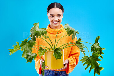 Buy stock photo Portrait of happy woman on blue background with plant, smile and happiness with house plants in studio. Gardening, sustainable or green hobby for gen z girl on mockup for eco friendly garden shop.