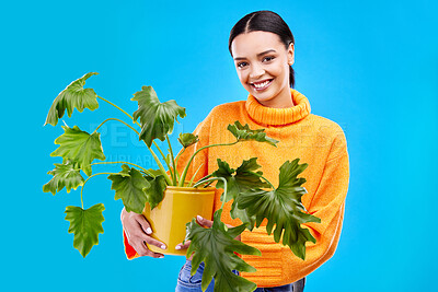 Buy stock photo Sustainability, portrait and happy woman in studio with plant, smile and house plants on blue background. Gardening, sustainable and green hobby for gen z girl on mock up and eco friendly backdrop.