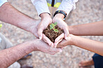 Plant, group of people and hands outdoor gardening, agriculture and business growth collaboration in teamwork. Palm, sapling soil and women and man for sustainable farming, agro or earth day project