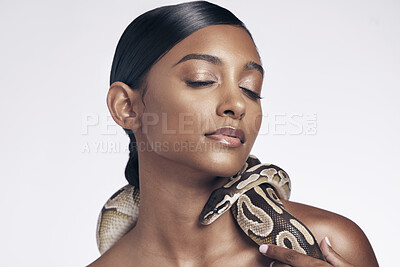 Buy stock photo Skincare, studio and woman with snake on neck for art aesthetic with exotic zoo animal on white background. Face, danger and creative style, Indian beauty model with seductive look and dangerous pet.