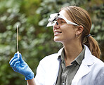 Science, nature and woman with sample with glasses for inspection, bacteria and ecosystem study. Agriculture, biology and female scientist with stick in woods for analysis, research and experiment