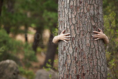 Buy stock photo Nature, environment and person with a tree hug for sustainability, planet love and ecology. Forest, earth day and hands hugging trees to show care for woods, deforestation and climate change