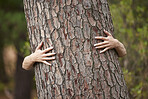 Nature, saving and a person with a tree hug for sustainability, planet love and ecology. Forest, earth day and hands hugging trees to show care for woods, deforestation and climate change in a park