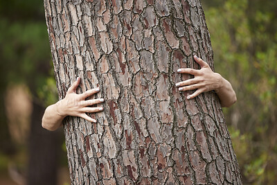 Buy stock photo Nature, saving and a person with a tree hug for sustainability, planet love and ecology. Forest, earth day and hands hugging trees to show care for woods, deforestation and climate change in a park