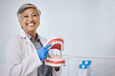 Buy stock photo Dentist, dentures and portrait of senior woman for dentistry, medical and dental service in clinic. Healthcare, happy and female worker point to mouth mold for oral health, teeth cleaning and cavity