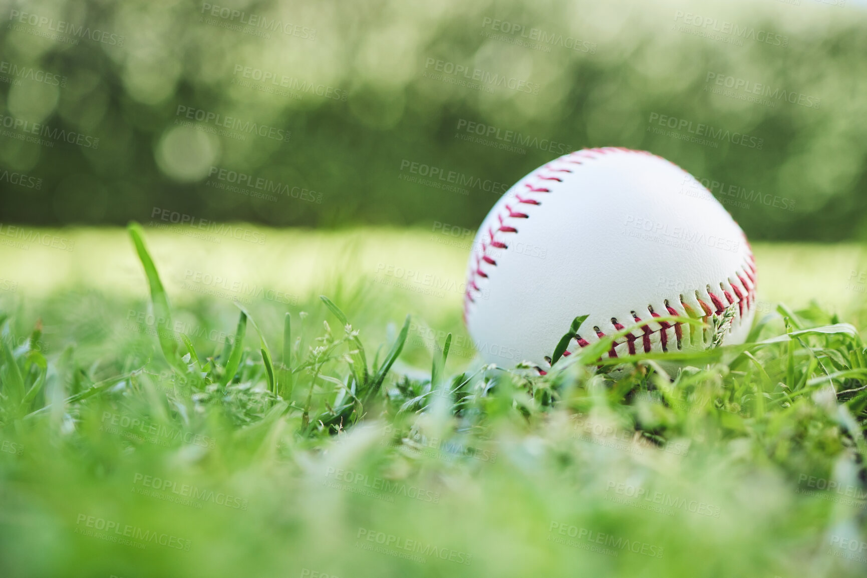 Buy stock photo Baseball, sports and fitness with a ball on the grass, closeup waiting for a game or competition. Earth, recreation and training with a softball on a lawn, pitch or grass for sport activity outdoor