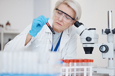 Buy stock photo Medical science, blood test and analysis with scientist woman a vial for dna or medicine research. Expert person in laboratory with tube sample or study for healthcare, chemistry or investigation