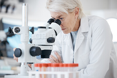Buy stock photo Science woman, microscope and medical analysis in a laboratory with scientist for investigation or research. Expert person in lab with equipment for healthcare, medicine or biotechnology innovation