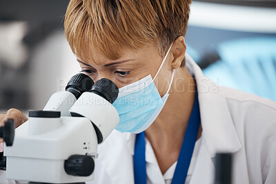 Buy stock photo Science woman, microscope and face mask for analysis in a laboratory for scientist investigation. Expert person in lab with equipment for medical innovation, future medicine or biotechnology study