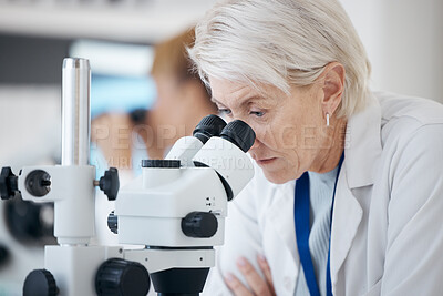 Buy stock photo Senior woman, scientist and microscope in forensics for discovery, breakthrough or healthcare research in lab. Mature female medical professional in scientific or science examination or experiment