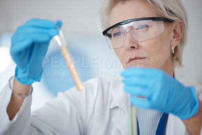 Buy stock photo Senior woman, scientist and holding DNA samples or chemical in experiment or testing with gloves in laboratory. Mature female in science discovery, research or test tubes for lab results in chemistry