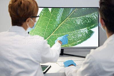 Buy stock photo Plant, science and researchers with computer, screen and planning for sustainability, organisms and breakthrough. Back, scientist or employees with pc, leaves and image with ecology study or analysis