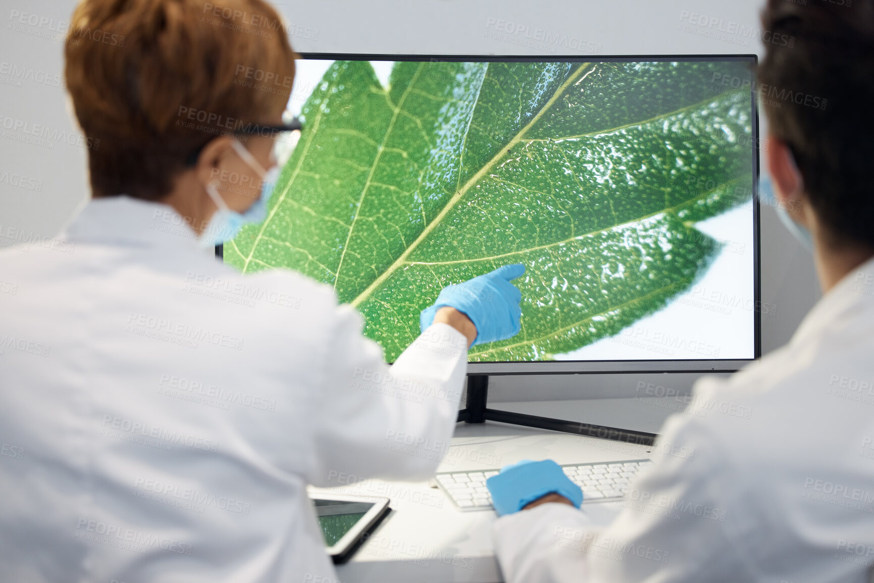 Buy stock photo Plant, science and researchers with computer, screen and planning for sustainability, organisms and breakthrough. Back, scientist or employees with pc, leaves and image with ecology study or analysis
