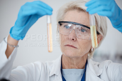 Buy stock photo Senior woman, scientist and vials in chemical experiment or testing concentration in laboratory. Mature female in science discovery or scientific research with test tubes for chemistry results in lab