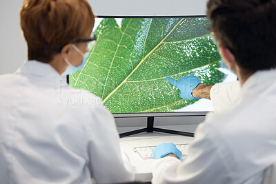 Buy stock photo Plants, research or employees with computer, lab or discussion for breakthrough, analysis or results. Coworkers, staff or scientists with pc, technology or experiment for sustainability in laboratory