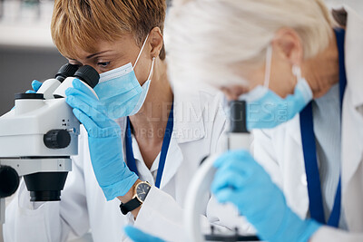 Buy stock photo Science team, microscope and analysis in a laboratory with scientists for investigation or research. Expert women in lab with medical equipment for innovation, future medicine or biotechnology study