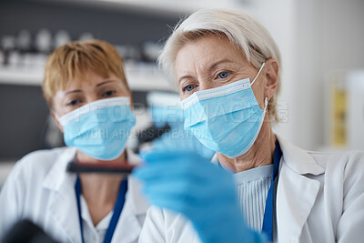Buy stock photo Science women, face mask and virus in a laboratory with scientist team for investigation or research. Senior people in lab with test for innovation, future medicine or biotechnology study or analysis