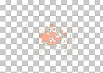 Star icon, sign and symbol with pattern and color for website design or mobile app development. Swirl and element of a spiral graphic isolated on a transparent and PNG image format background