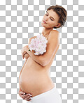 Pregnancy, calm and woman with flowers holding her stomach with love, care and happiness. Feminine, maternity and pregnant female model with floral bouquet on an isolated, transparent png background