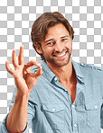 A young man smiling with a perfect, yes, positive opinion and Ok hand sign or a good review with feedback and emoji, success and approval isolated on a png background.