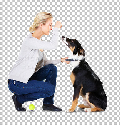 Buy stock photo Woman, dog training with treat and tennis ball, learning obedience and focus isolated on transparent png background. Animal trainer with love, care and reward, girl teaching pet to sit with snacks.