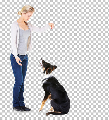 Buy stock photo Woman training dog with treat, learning obedience and focus isolated on transparent png background. Animal trainer with love, care and reward, girl teaching pet to sit with snacks for good behaviour.