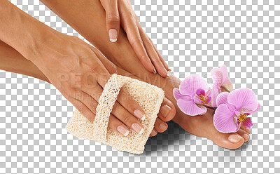 Buy stock photo Woman, beauty and foot brush of natural skincare isolated on transparent png background. Closeup, pedicure and orchid flowers to exfoliate clean feet, smooth texture or aesthetic results of cosmetics