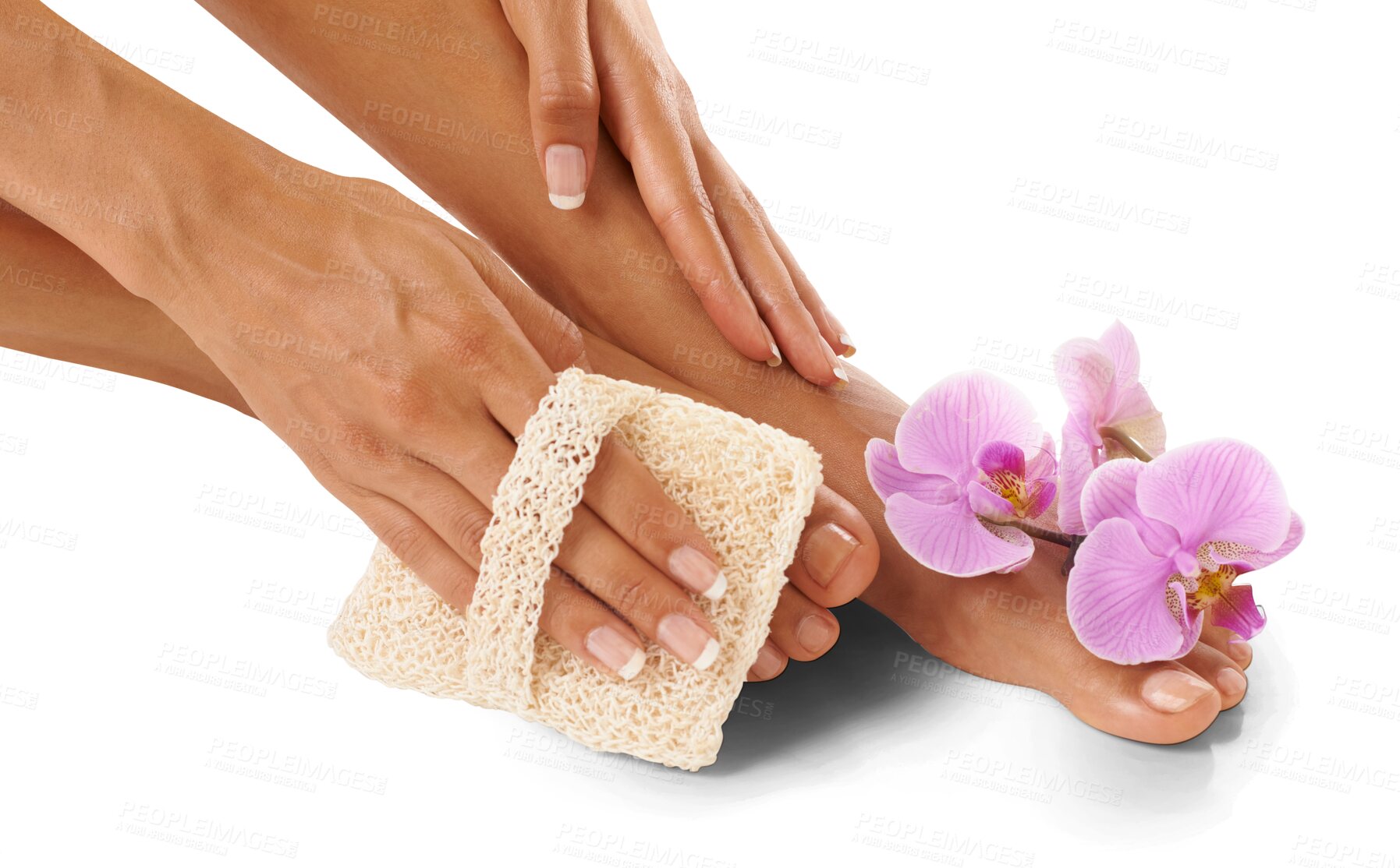 Buy stock photo Woman, beauty and foot brush of natural skincare isolated on transparent png background. Closeup, pedicure and orchid flowers to exfoliate clean feet, smooth texture or aesthetic results of cosmetics