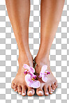 Pedicure, flower and feet of woman for beauty, spa and wellness with luxury, natural cosmetics and floral. Flowers, foot skincare and model nails on wood floor dermatology skin care isolated on a png background