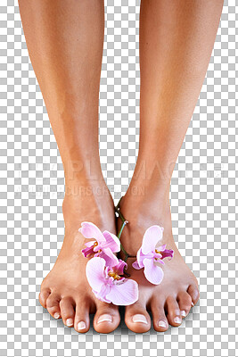 Buy stock photo Woman, pedicure and flowers at feet for natural skincare isolated on a transparent png background. Closeup, beauty salon and barefoot with orchid plants, aesthetic wellness and healthy nail cosmetics