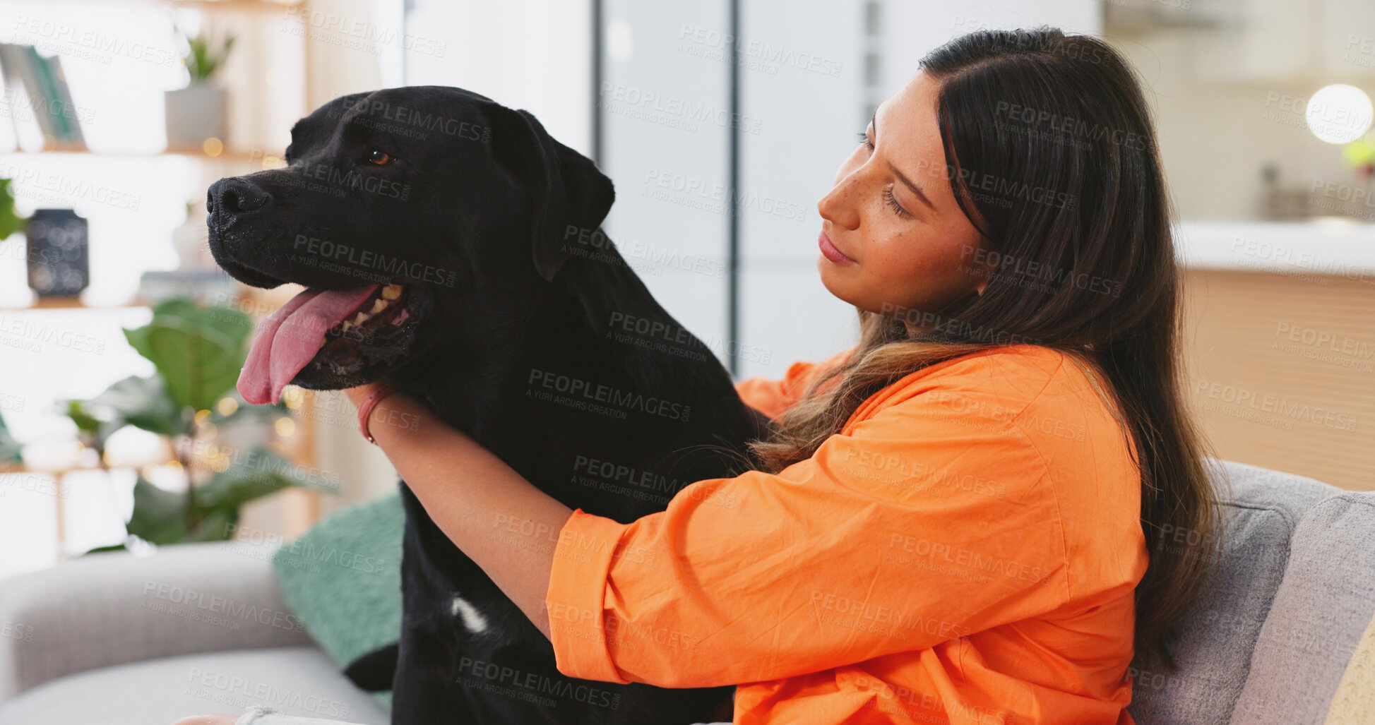 Buy stock photo Friends, happy and woman with dog on sofa for bonding, petting and hug in living room together. Pets, domestic animal and happy person with labrador for embrace, fun and friendship in living room