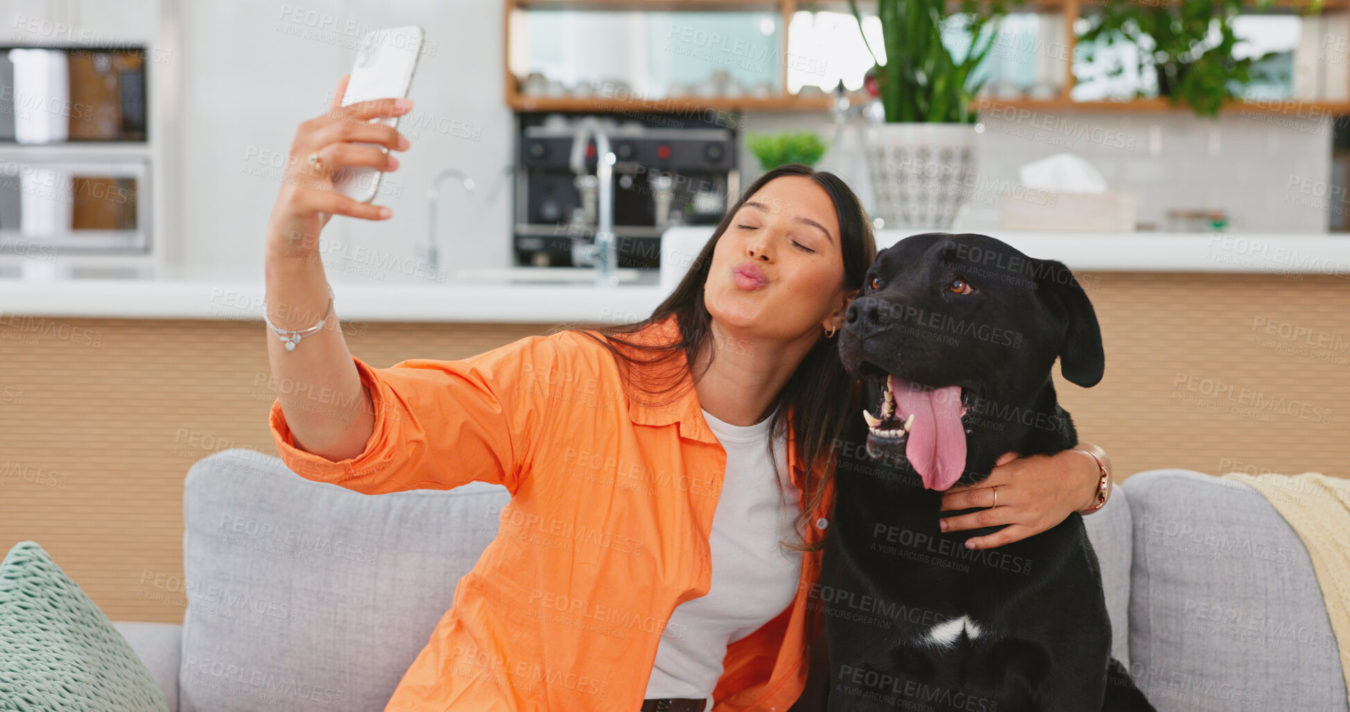 Buy stock photo Pet, selfie and woman with dog in living room for relax, bonding and picture at home together. Friends, domestic animal and person take photo with labrador on sofa for social media, internet and blog