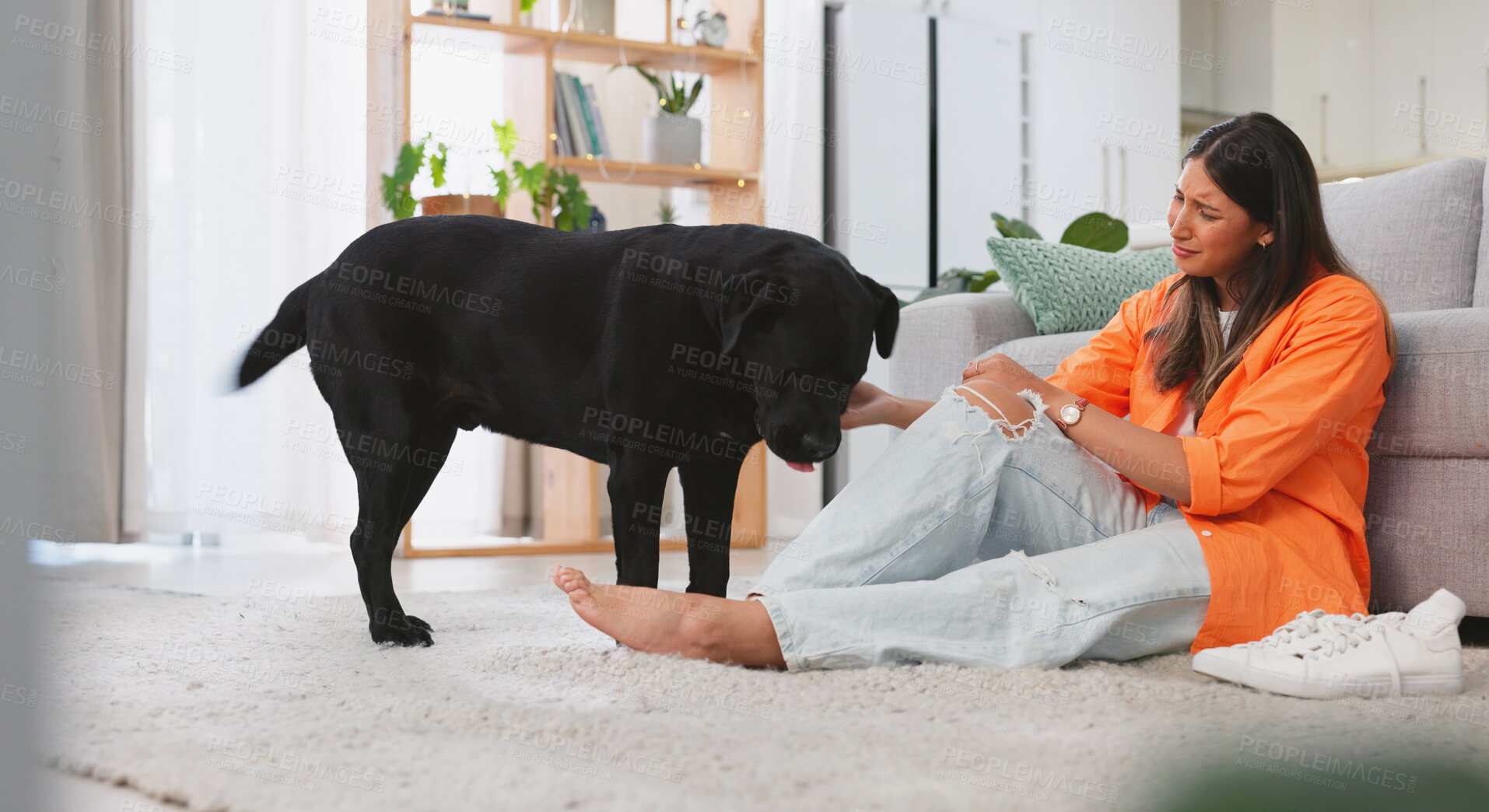 Buy stock photo Pet, sad and woman with dog in living room for comfort, bonding and console at home together. Love, domestic animal and person with problem with labrador on floor for embrace, care and friendship